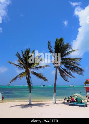 La spiaggia su Ambergris Caye, Beliaze, paradiso tropicale isola dei Caraibi. Foto Stock