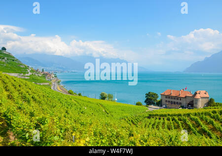 Vista incredibile di vigneti terrazzati su pendii dal Lago di Ginevra, Svizzera. Lavaux famosa regione vinicola, Patrimonio dell'UNESCO. Il turchese del lago. Vigna verde sulla collina. La Svizzera Estate. Paesaggi svizzeri. Foto Stock