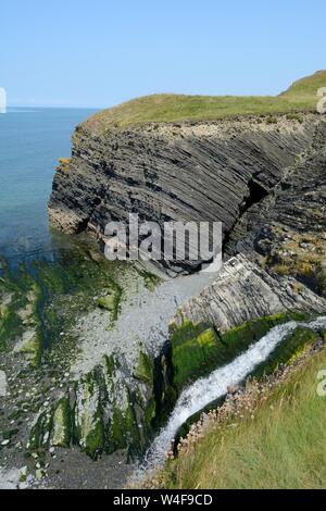 Cwm Buwch sulla costa Ceredigion percorso dove afon Drywi cascata si immerge in un inaccessibili spiaggia tra New Quay e Aberaeron Wales UK Foto Stock