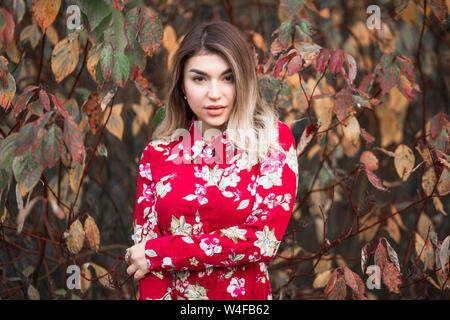 Foto della bella ragazza in un abito rosso in posa su uno sfondo di un autunno bush Foto Stock