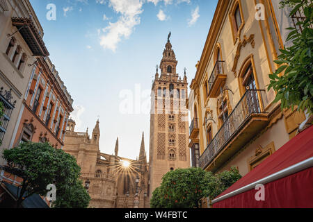 Cattedrale di Siviglia e dalla Torre Giralda di Siviglia - Andalusia Foto Stock