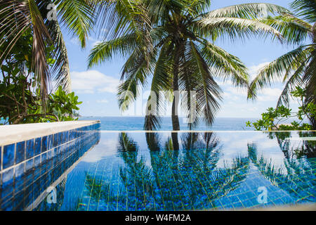 Palma da cocco lascia la riflessione in piscina infinity Foto Stock