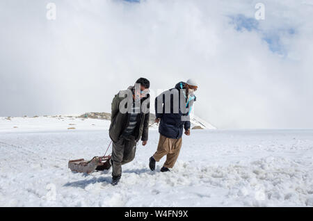 Gli estrattori di slitta a Gulmarg Gondola Fase 2 / Apharwat picco, Gulmarg, Jammu e Kashmir India Foto Stock