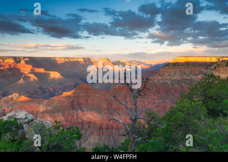 Vista sul Grand Canyon al tramonto - Arizona, Stati Uniti d'America Foto Stock