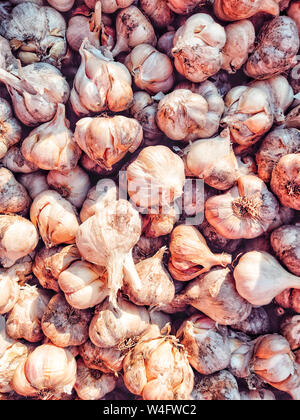 Aglio bianco pila texture. Piccante ingrediente di cottura dell'immagine. Pila di aglio bianco teste. Foto Stock