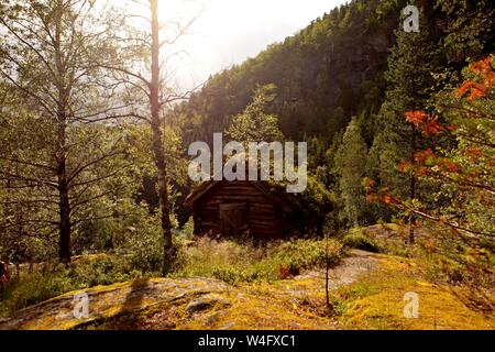 Molto vecchi mulini con tetti erbosi in Norvegia Foto Stock