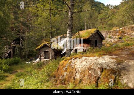 Molto vecchi mulini con tetti erbosi in Norvegia Foto Stock