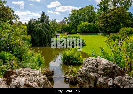 Giardino botanico di Nantes. Loire-Atlantique. Pays de la Loire. Francia Foto Stock