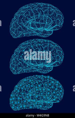 Wireframe del cervello umano delle linee blu con luci incandescenti. Aumento di luminescenza del cervello. Illustrazione Vettoriale Illustrazione Vettoriale
