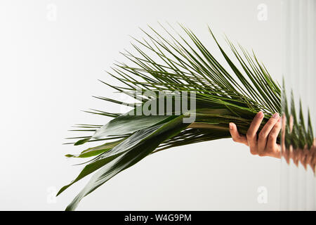 Vista ritagliata della donna azienda Palm tree e grandi foglie verdi su sfondo bianco dietro il vetro a lamelle Foto Stock