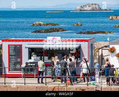 A North Berwick, East Lothian, Scozia, Regno Unito, 23 luglio 2019. Regno Unito: Meteo inizio di una ondata di caldo porta i visitatori alla East Lothian costa. Il Lobster shack nel porto è occupato a pranzo Foto Stock