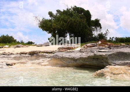 Paesaggio rilassante del terreno roccioso e alberi tropicali con acqua chiara che lambiscono la riva su di una spiaggia privata nelle Isole Turks e Caicos. Foto Stock