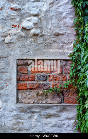 Frammento di parete di una vecchia casa in Riga con il restauro storico e il verde delle vigne Foto Stock