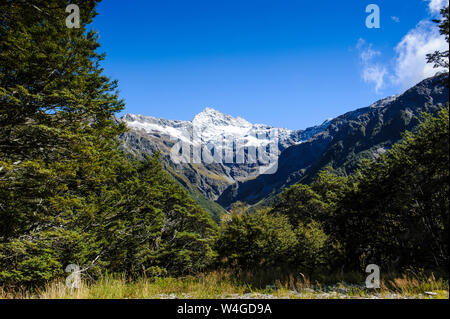 Otira Gorge Arthur's Pass, Isola del Sud, Nuova Zelanda Foto Stock