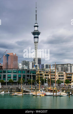 Il centro di Auckland con la Sky Tower, Nuova Zelanda Foto Stock