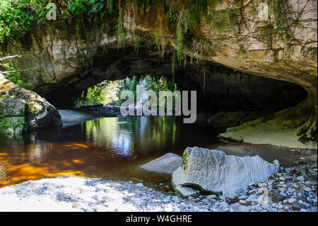 Cancello di Moria Arch nel bacino Oparara, Karamea, Isola del Sud, Nuova Zelanda Foto Stock