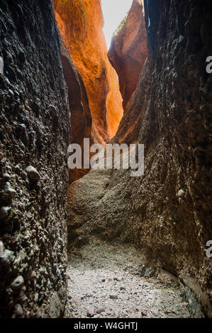 Pasticciare Bungles National Park, Australia occidentale, Australia Foto Stock