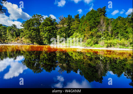 Alberi che riflette nell'acqua, Specchio Tarn, Oparara bacino, Karamea, Isola del Sud, Nuova Zelanda Foto Stock