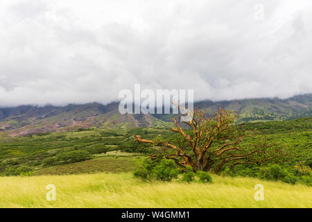 Vista dall'autostrada Piilani al Vulcano Haleakala, Maui, Hawaii, STATI UNITI D'AMERICA Foto Stock