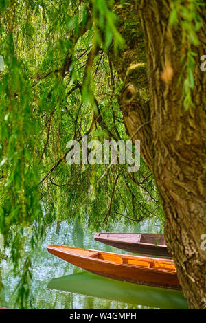 Punt barche sul fiume Neckar e Tuebingen, Baden-Wuerttemberg, Germania Foto Stock