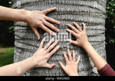 Quattro mani toccano un tronco di albero Foto Stock