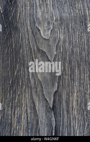 Superficie di legno, legno di teak, Tectona grandis, full frame Foto Stock