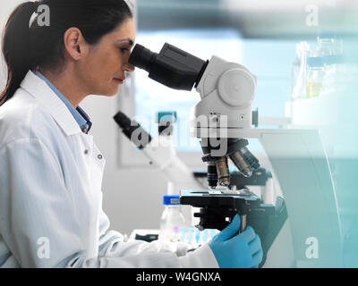 Ricerca biotecnologica, scienziato esaminando campioni sotto un microscopio durante un esperimento Foto Stock