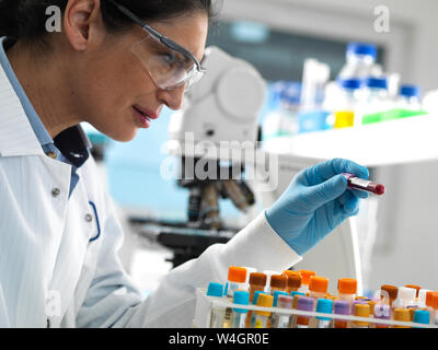 Tecnico di laboratorio la preparazione di una varietà di campioni umani per medical test in laboratorio Foto Stock