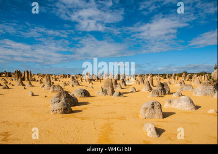 Pinnacle formazioni calcaree al tramonto, Nambung National Park, Australia occidentale Foto Stock