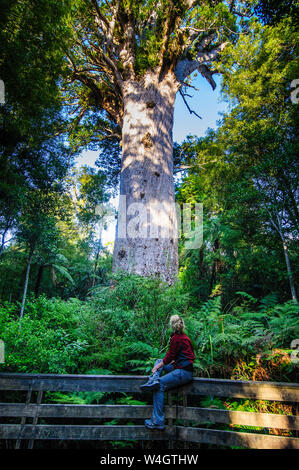 Donna che guarda a te Matua Ngahere, un gigante di kauri tree, Waipoua Forest, Westcoast Northland e North Island, Nuova Zelanda Foto Stock