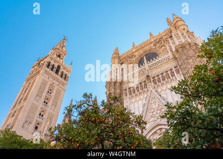 Cattedrale di Sevilla e Giralda di Siviglia, Spagna Foto Stock