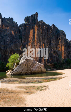 Windjana Gorge National Park, Kimberley, Australia occidentale Foto Stock