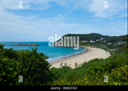 Myall Lakes National Park, New South Wales, Nuovo Galles del Sud, Australia Foto Stock