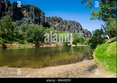 Windjana Gorge National Park, Kimberley, Australia occidentale Foto Stock