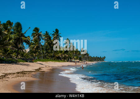 Spiaggia tropicale in Praia do Forte, Bahia, Brasile Foto Stock