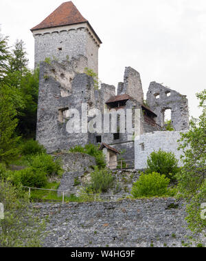 Le rovine del castello di Kamen, Radovljica, Slovenia Foto Stock