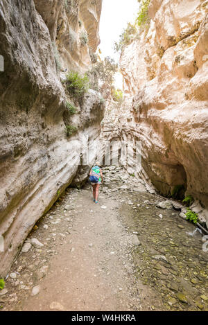 Misterious canyon Avakas con piccolo ruscello e pietre in Cypros con sunlights Foto Stock