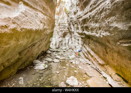 Misterious canyon Avakas con piccolo ruscello e pietre in Cypros con sunlights Foto Stock