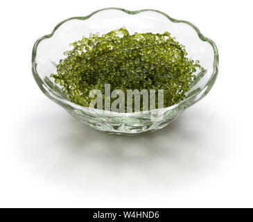 Umi budo, verde di caviale, uva di mare, alghe, alghe commestibili Foto Stock