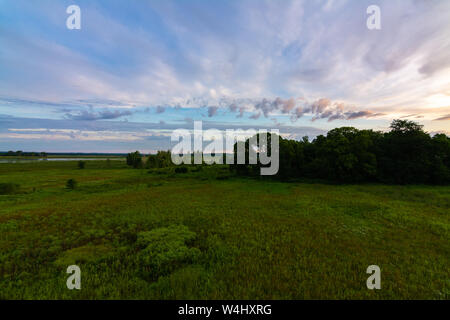 Vista dal ponte di osservazione in Dixon Waterfowl rifugio presso sunrise. Foto Stock