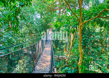 Godetevi tour estremi, passeggiate lungo la corda appesa bridge nella foresta tropicale del Tree Top Walk, Mae Fah Luang giardino, Doi Tung, Chiang Rai, Thailandia Foto Stock