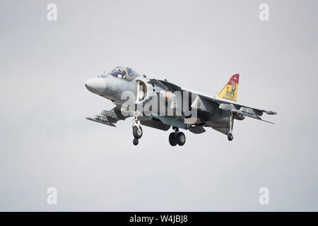 Uno dei due marina spagnola AV-8B Harrier II effettuando al 2019 RIAT air show, Fairford, Gloucestershire, Regno Unito Foto Stock