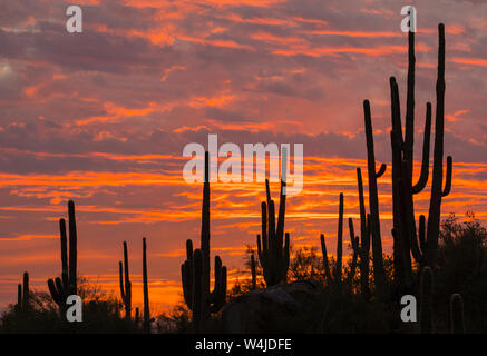 Tramonto in la tortolita montagne, Marana, nei pressi di Tucson, Arizona. Foto Stock