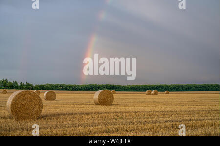 Bellissimo arcobaleno multicolore su uno spiovente di campo di grano con grandi rotoli di paglia Foto Stock