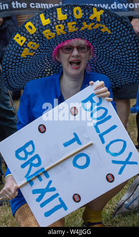 Londra, Regno Unito. 20 luglio 2019. Partecipante alla protesta di marzo per il cambiamento, fermare la Brexit. Credit: Joe Kuis /Alamy News Foto Stock