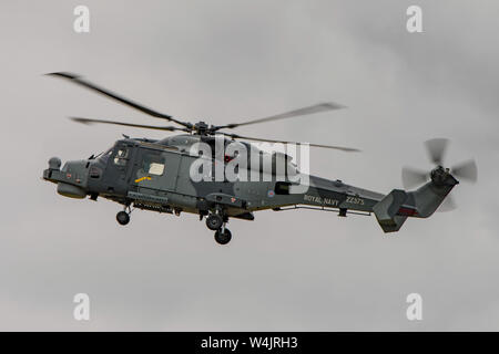 Royal Navy Wildcat HMA2 anti-sommergibile elicottero che partecipano al display di volo presso gli RNAS Yeovilton International Air giorno, Regno Unito il 13/7/19. Foto Stock