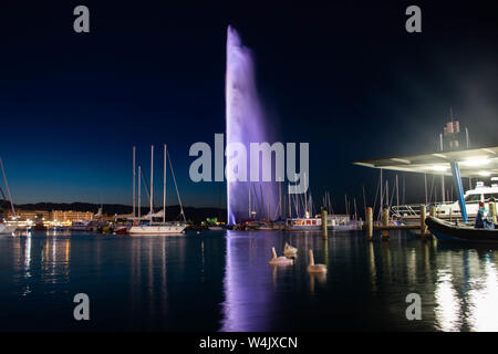 Una lunga esposizione cattura del Jet d'eau con cigni nuotano in un cantiere navale a Ginevra in Svizzera Foto Stock