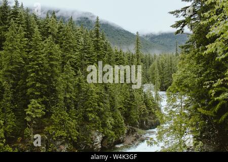 Lago curvy che scorre nel mezzo di una foresta con alberi alti e montagna sullo sfondo Foto Stock