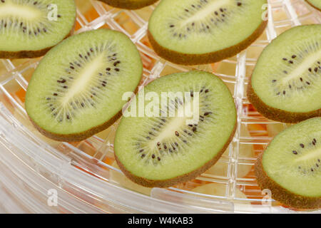 Close-up su fette di kiwi Foto Stock