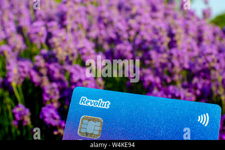 Revolut carta bancaria vicino la foto con la Lavanda fiori su uno sfondo sfocato. Foto che mette in evidenza la singolare blu-color porpora del Revolut Foto Stock